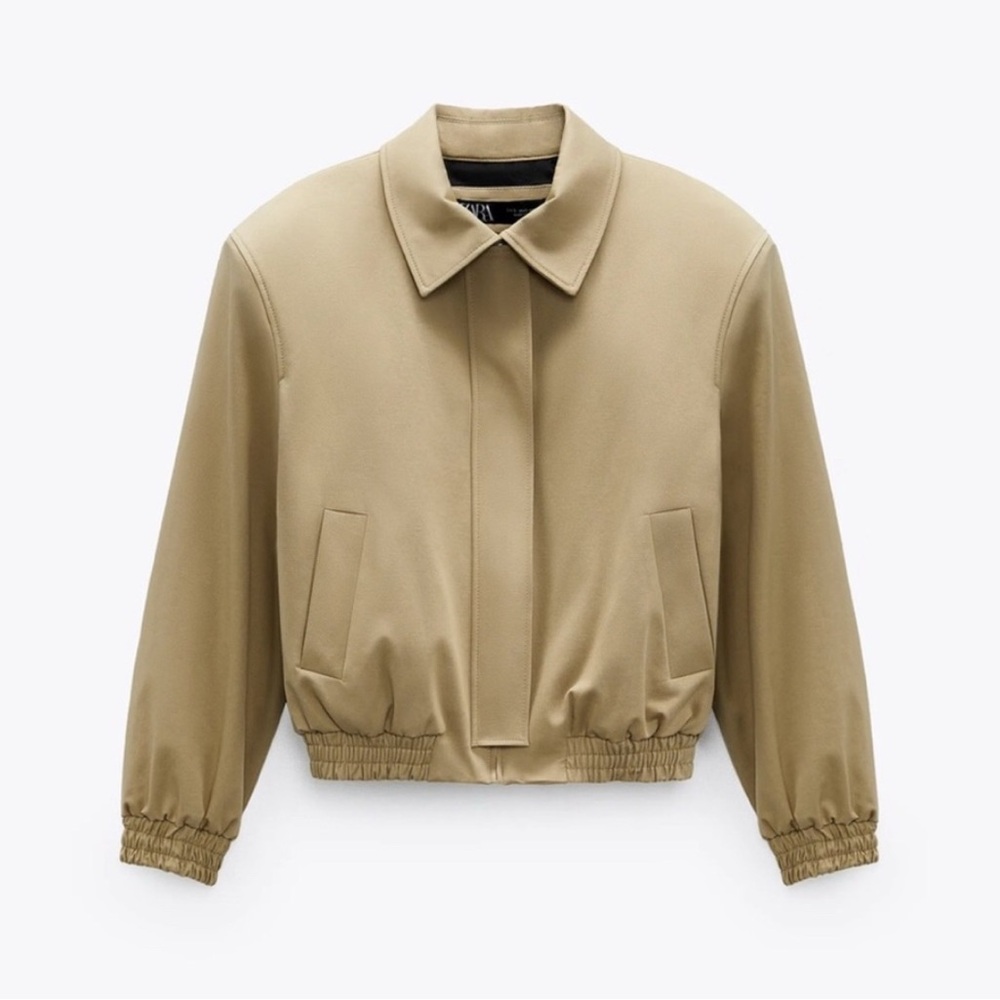 Zara x Everlast Bomber Jacket - Picture 3 of 17